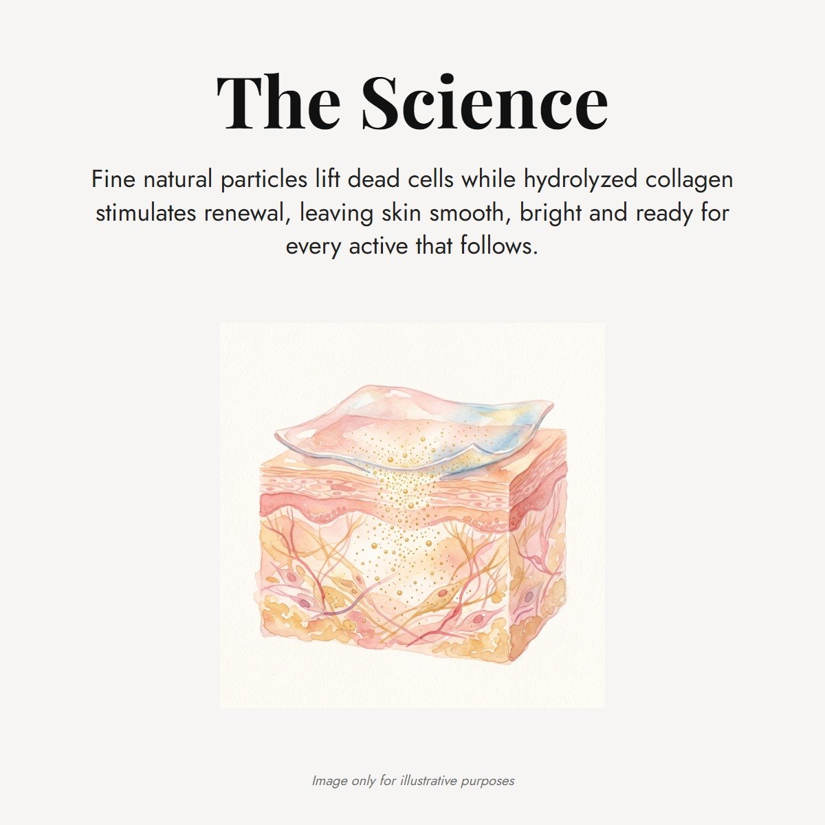 ÖVIE Collagen Body Scrub 9