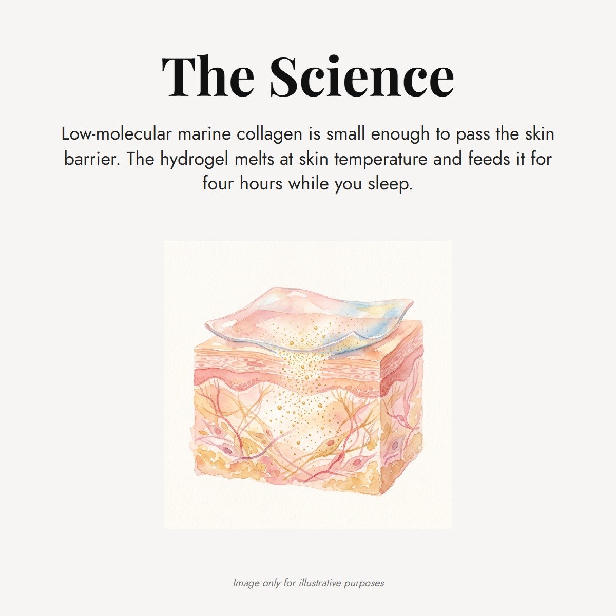 ÖVIE Marine Collagen Neck Mask 9